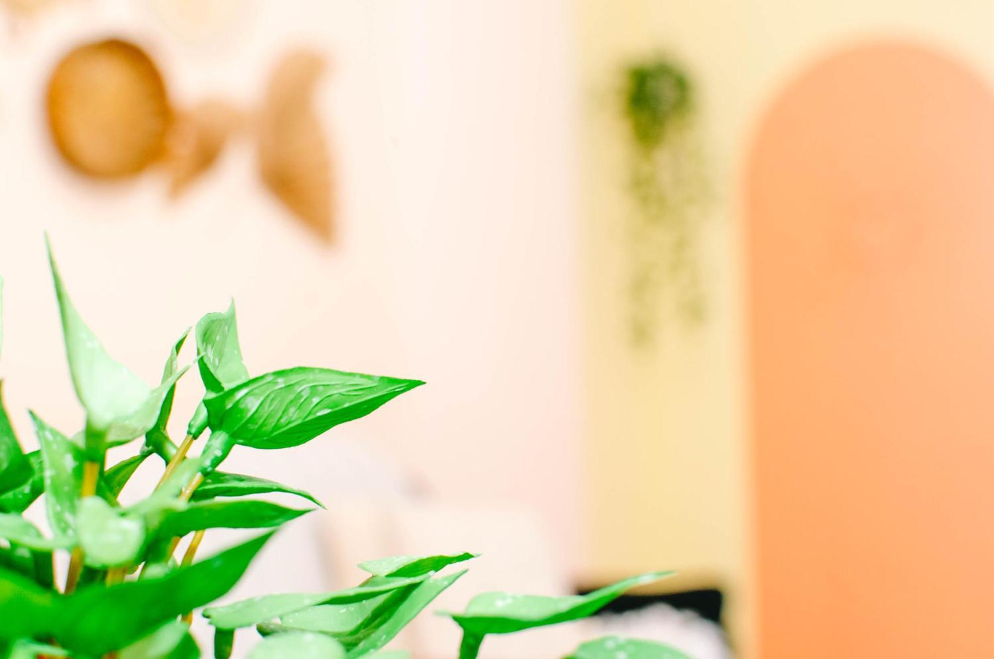 Apartamento Apto Lindo E Aconchegante Com Piscina 202a